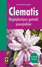 CLEMATIS WYD. 2